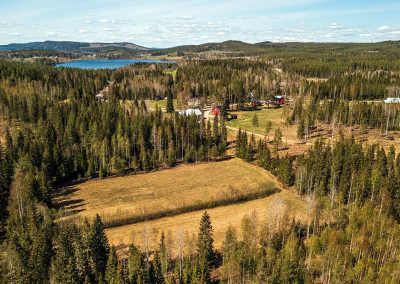 Forest Meadow Lodge, Flarke, Sweden