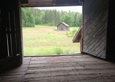 View of forest